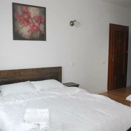 Villa Nobila Salicea Cluj-Napoca